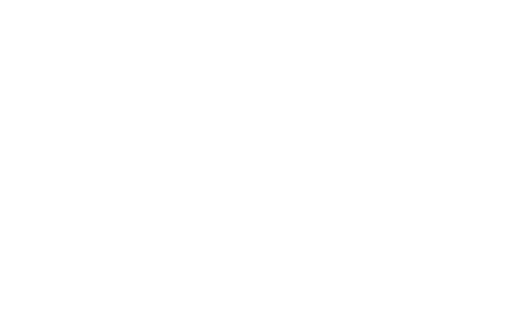 Armand Protection Services